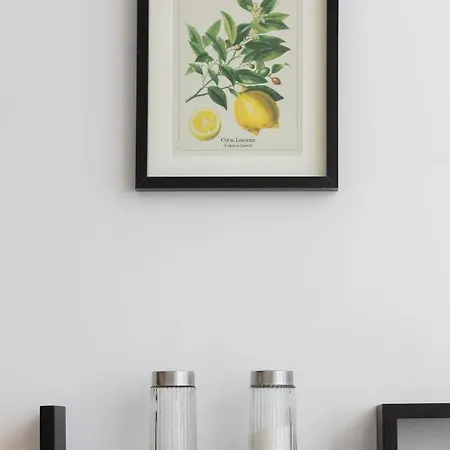 Oś Królewska - Comfortable In Wilanów